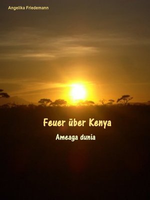 cover image of Feuer über Kenya